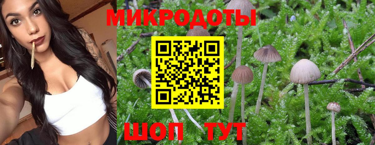Кушва  Псилоцибиновые грибы Cubensis  Вход с VPN 